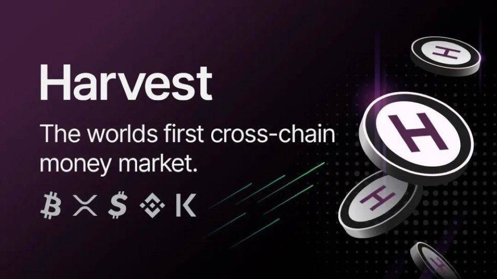 推出全球首个跨链货币市场 Harvest，Kava 想做的还有什么？