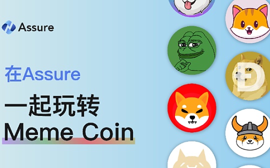在Assure Wallet 也能轻松玩转Meme币