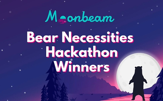 深入了解Bear Necessities Hackathon黑客松的优胜者们