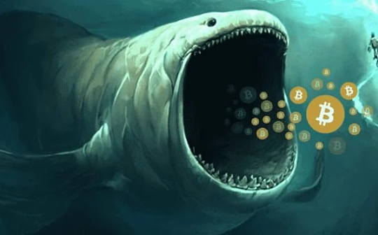 加密货币分析师表示  比特币(btc)的下一步走势将是爆炸性的