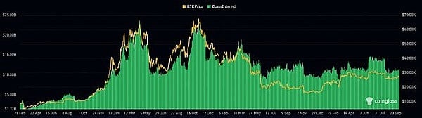 比特币（BTC）：尽管比特币下跌 为何水面仍平静