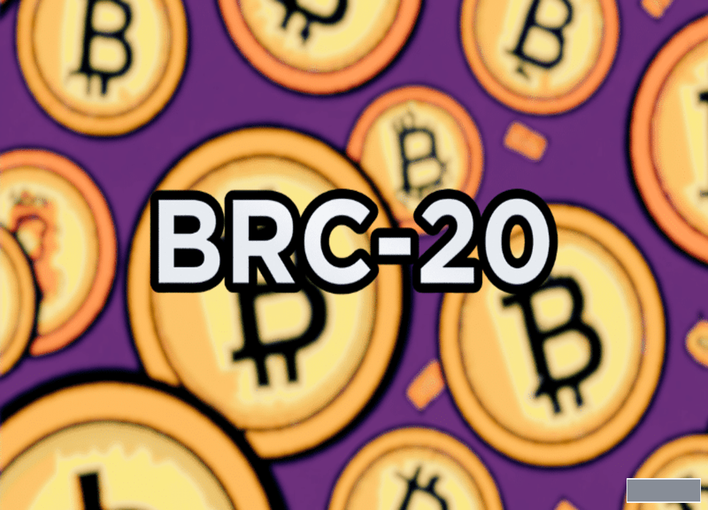 1.brc-20-token.png