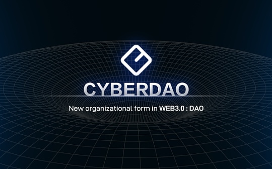 CyberDAO的耗散经济学结构