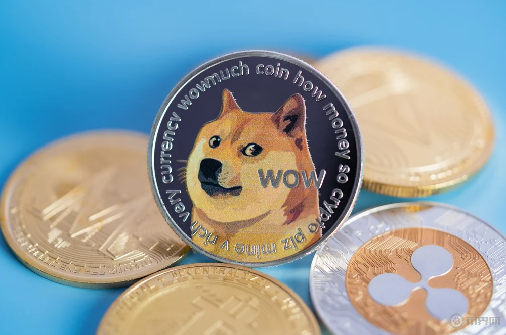 狗狗币怎么样？狗狗币未来前景值得投资吗？