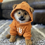 btc_img