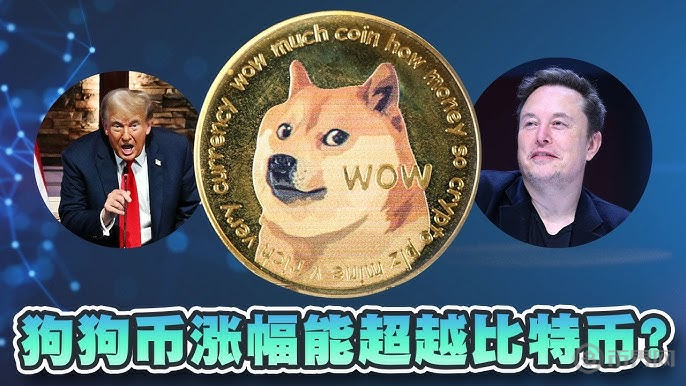 1730884285493104.png 特朗普&马斯克.png