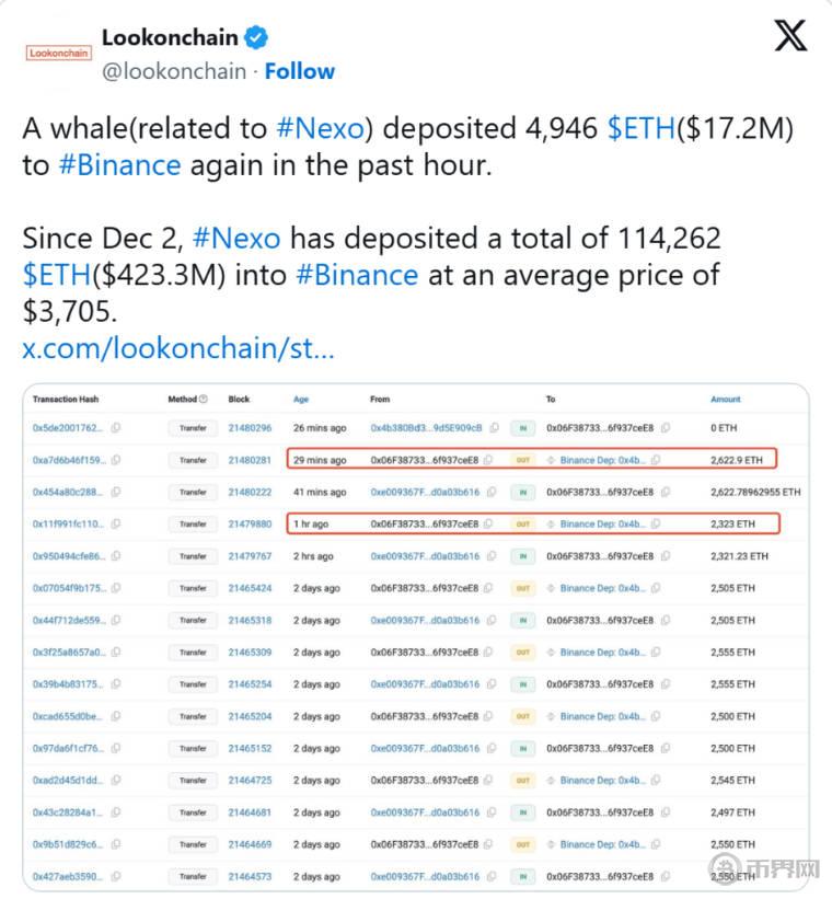 1735195051871259.jpg 鲸鱼地址.jpg