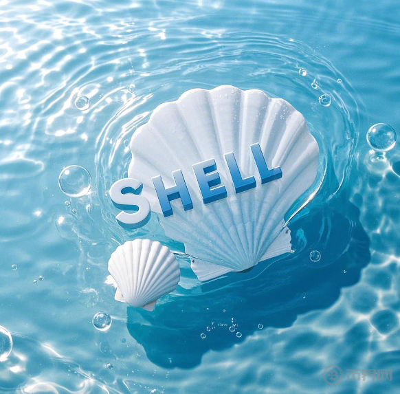 SHELL回购VS比特币暴跌：小币种逆势逻辑与避险策略深度指南