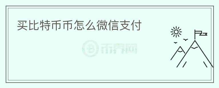 买比特币币怎么微信支付