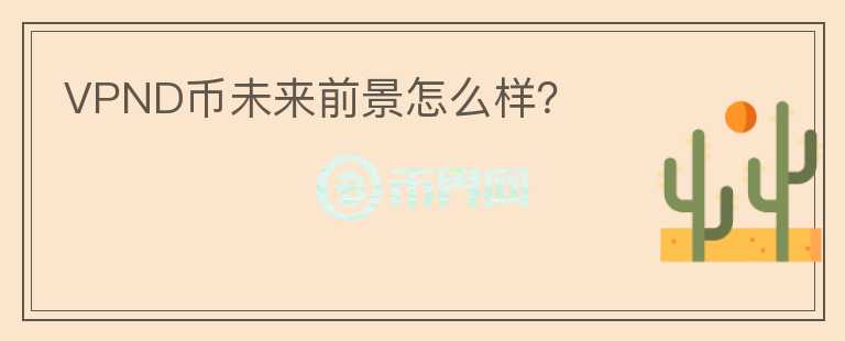 VPND币未来前景怎么样？