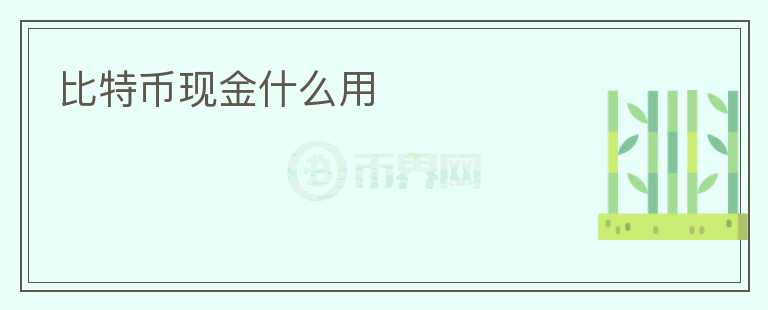 比特币现金什么用