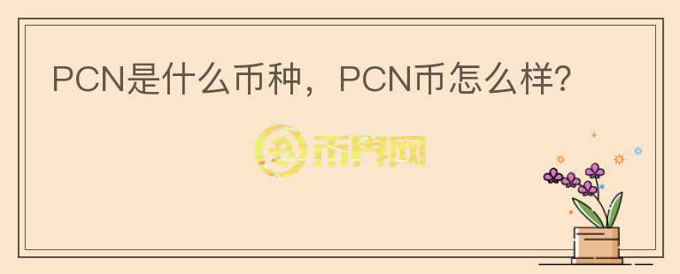 PCN是什么币种，PCN币怎么样？