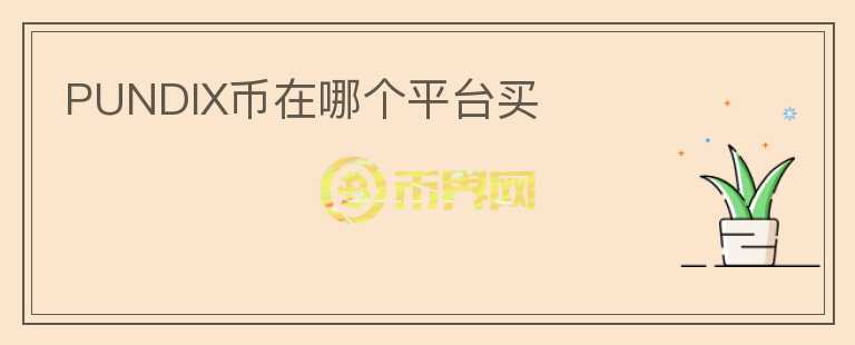 PUNDIX币在哪个平台买