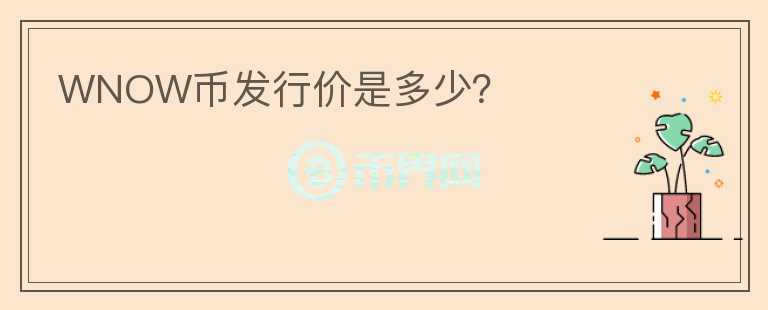 WNOW币发行价是多少？
