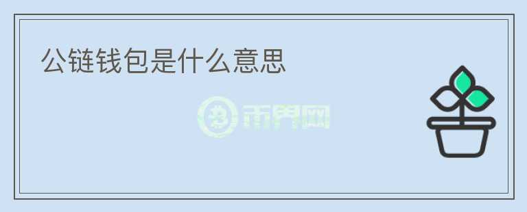 公链钱包是什么意思