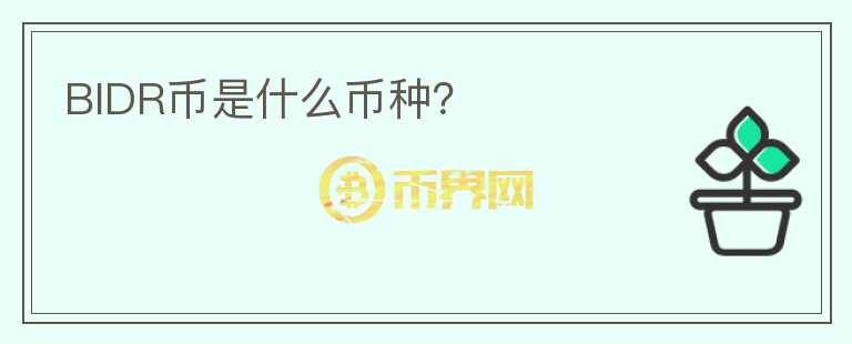 BIDR币是什么币种？