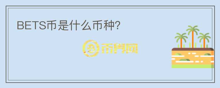 BETS币是什么币种?