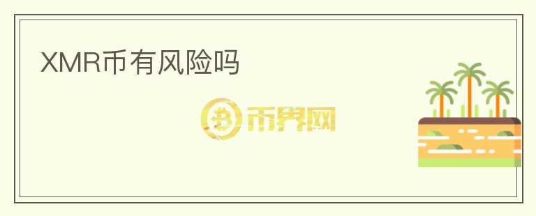 XMR币有风险吗