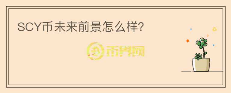 SCY币未来前景怎么样？
