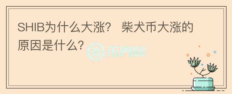SHIB为什么大涨？ 柴犬币大涨的原因是什么？