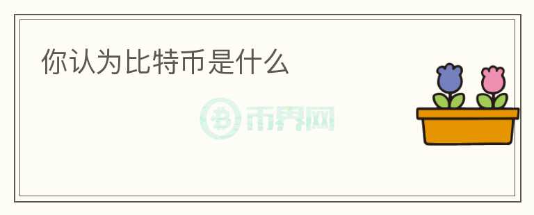 你认为比特币是什么