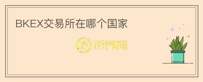 BKEX交易所在哪个国家