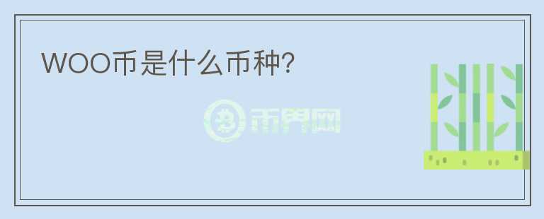 WOO币是什么币种?
