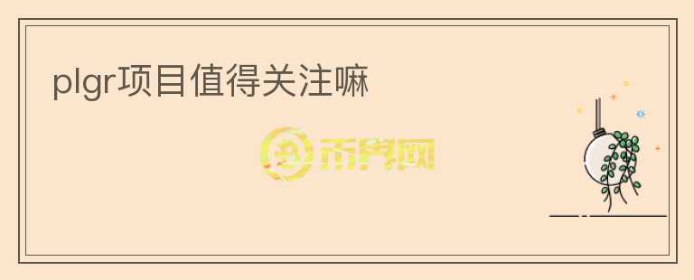 plgr项目值得关注嘛