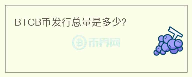 BTCB币发行总量是多少？