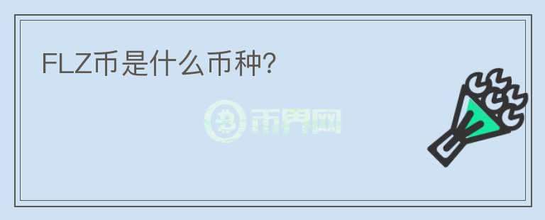 FLZ币是什么币种?