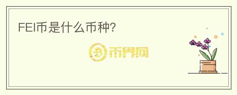 FEI币是什么币种?