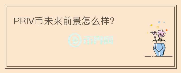 PRIV币未来前景怎么样？