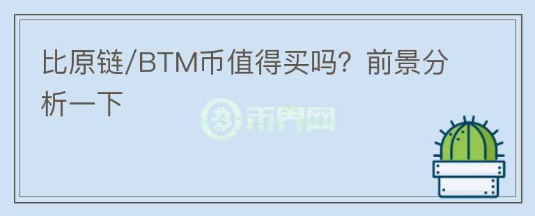 比原链/BTM币值得买吗？前景分析一下