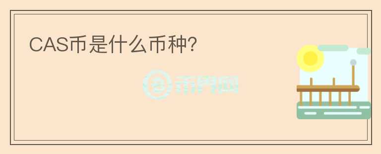 CAS币是什么币种?