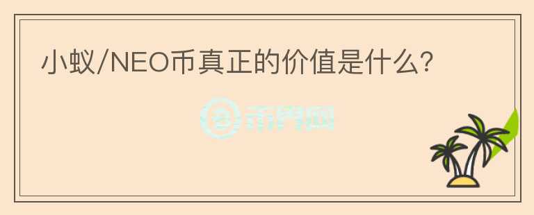 小蚁/NEO币真正的价值是什么？