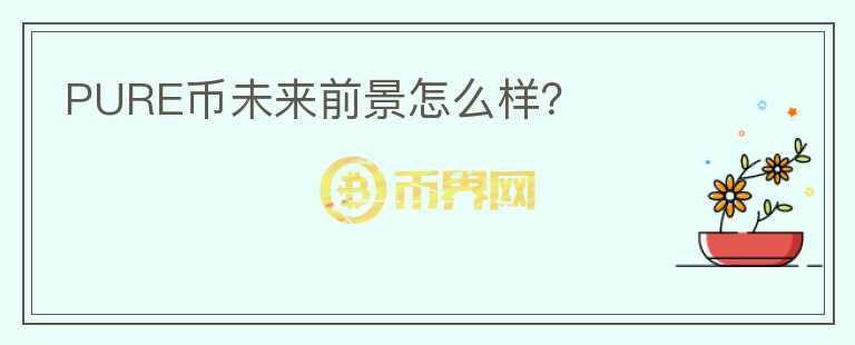 PURE币未来前景怎么样？