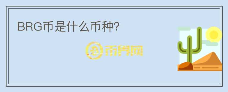 BRG币是什么币种?