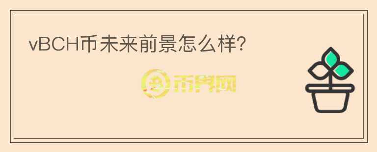 vBCH币未来前景怎么样？