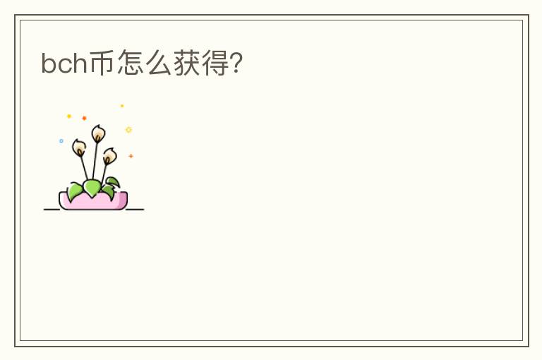 bch币怎么获得？
