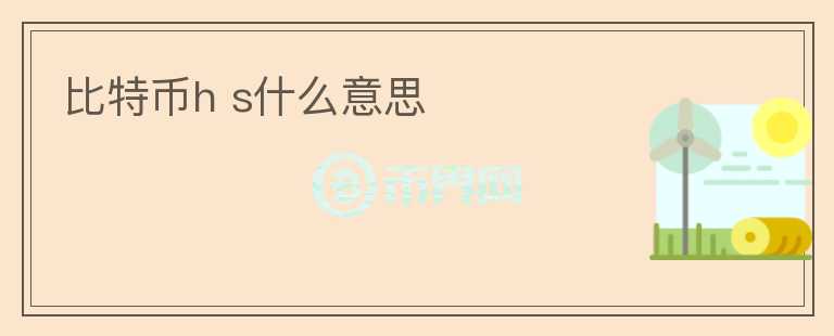 比特币h s什么意思