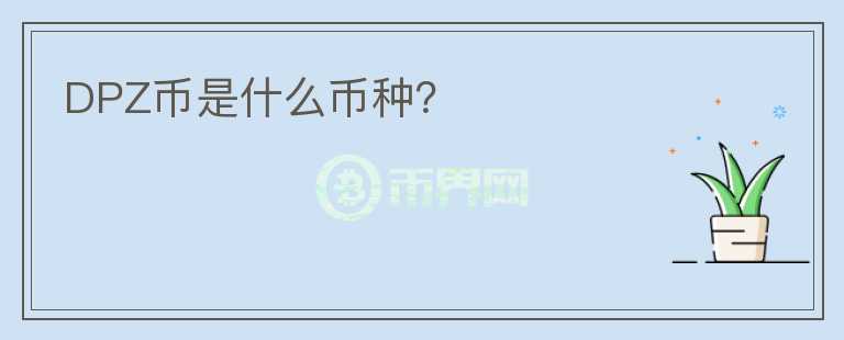 DPZ币是什么币种？