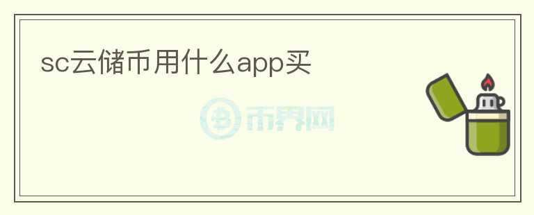 sc云储币用什么app买