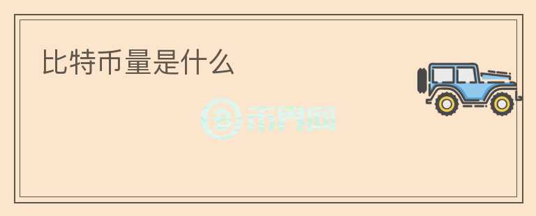 比特币量是什么
