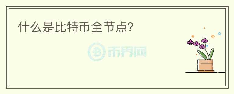 什么是比特币全节点?