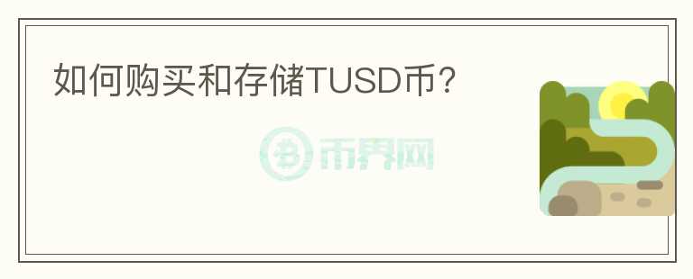 如何购买和存储TUSD币？