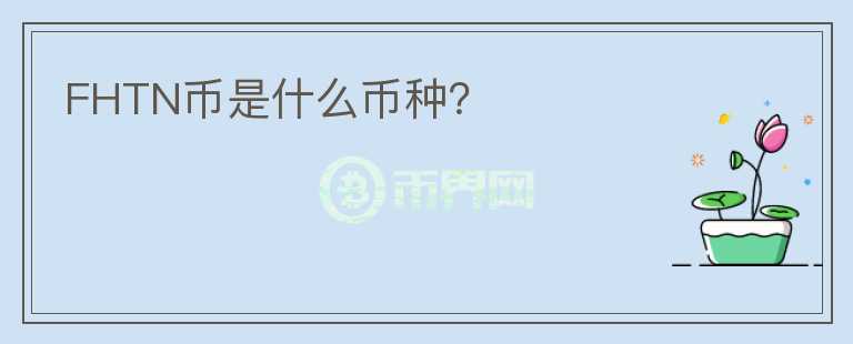FHTN币是什么币种?