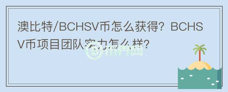 澳比特/BCHSV币怎么获得？BCHSV币项目团队实力怎么样？