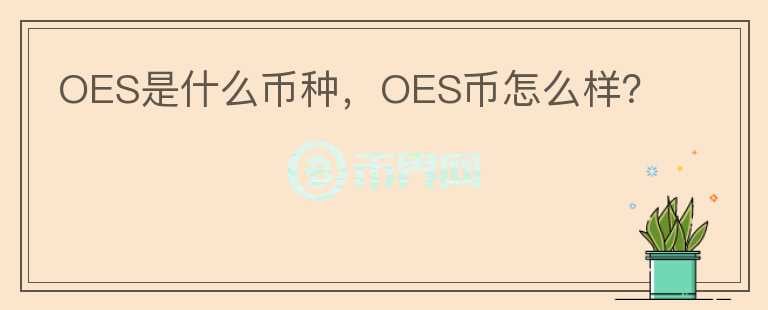 OES是什么币种，OES币怎么样？