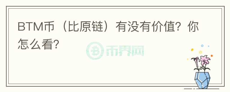 BTM币(比原链)有没有价值?你怎么看?
