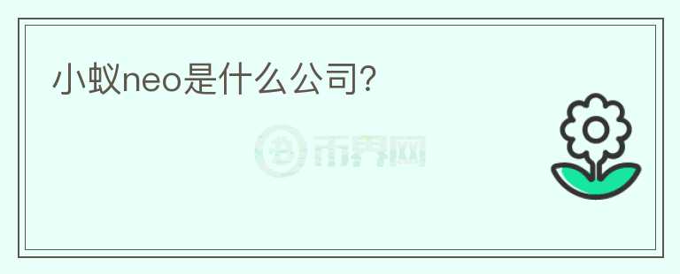 小蚁neo是什么公司?